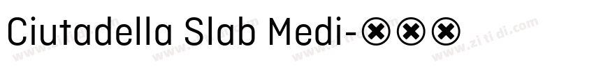 Ciutadella Slab Medi字体转换